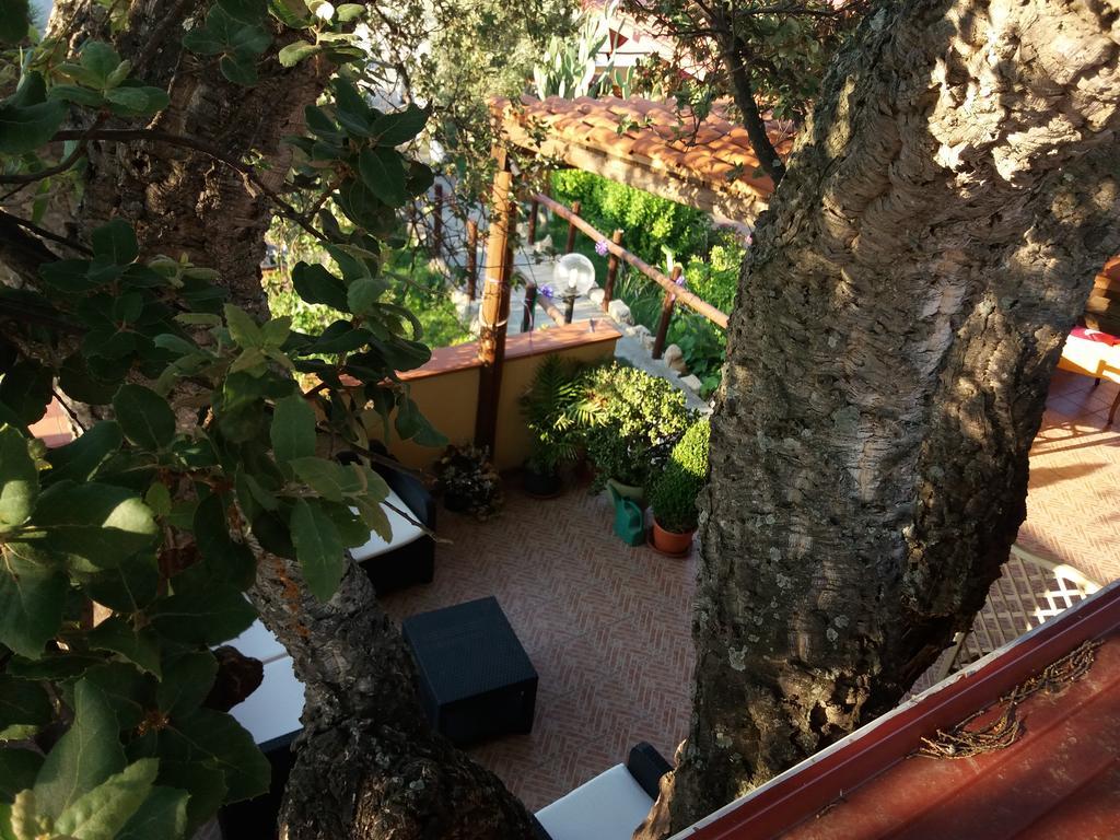 伊格莱西亚斯 S'Arriali Ranch旅馆 外观 照片